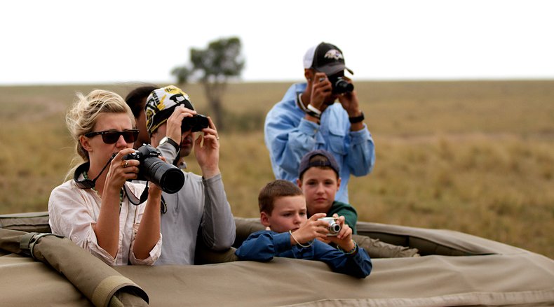 Safari